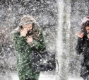 Погода в Туле 14 января: снегопад и порывистый ветер