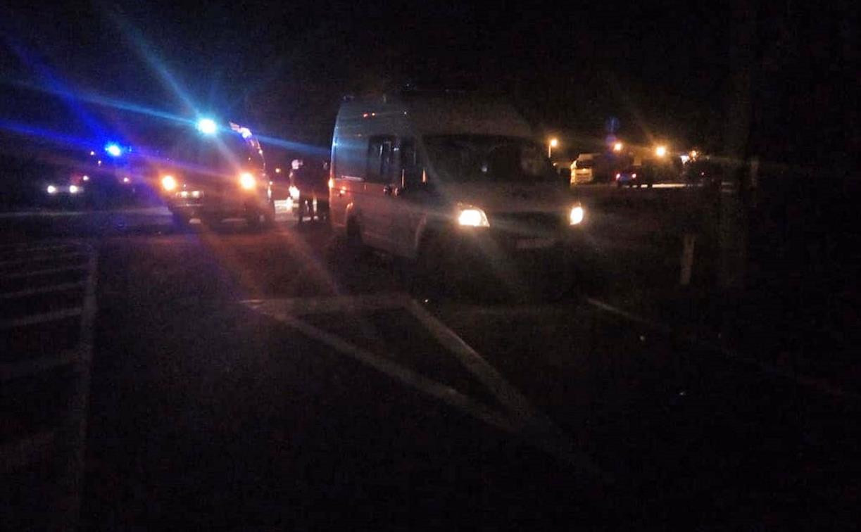 В Тульской области в ДТП с микроавтобусом погибли два человека