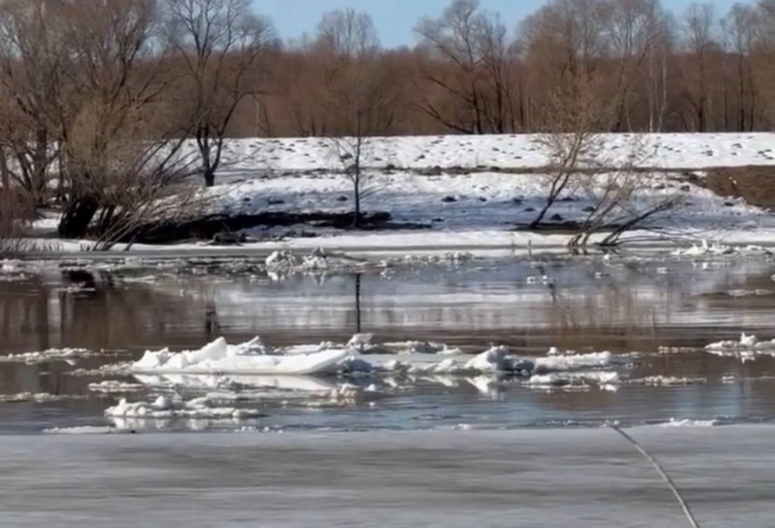 Уровень Оки в Алексине поднялся до 214 см