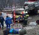 В автокатастрофе под Тулой погибли 9 граждан ДНР и ЛНР