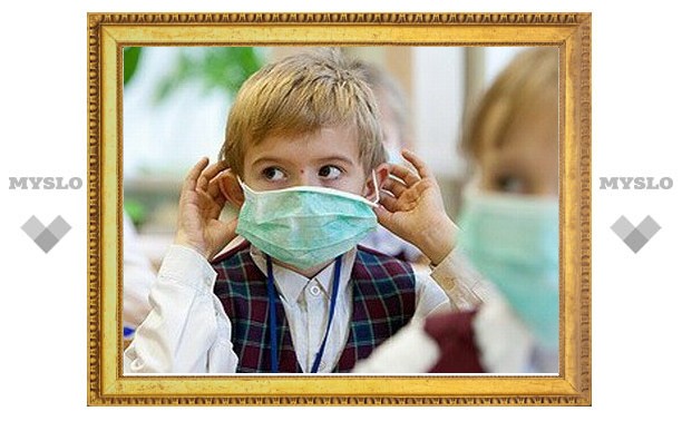 Тульские школы закрывают из-за гриппа