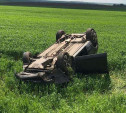 В Тульской области столкнулись Nissan и Hyundai: пострадали два человека