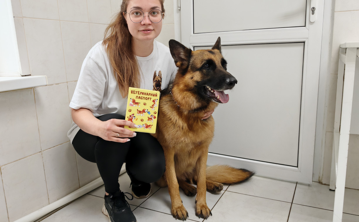 Зачем псу паспорт: в тульской ветлечебнице показали, как чипируют собак по новому закону