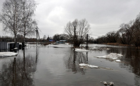 Жизнь Тулы и области