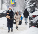 Погода в Туле 3 февраля: мокрый снег и до +2