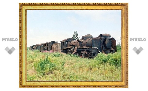 Тульская железная дорога попрощалась с 400 гектарами кустов