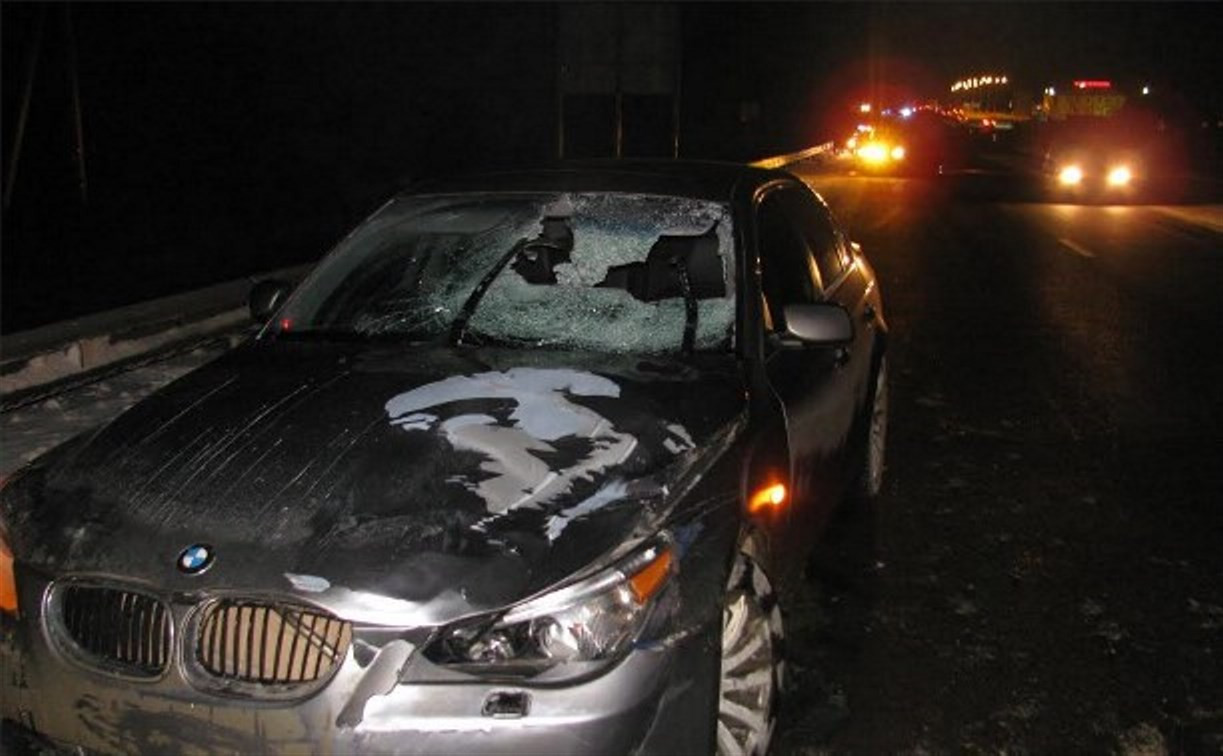 30 декабря в авариях в Тульской области погибли два пешехода