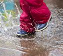МЧС предупреждает туляков о сильном дожде и грозе