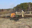 Под Алексином прошли учения МЧС по тушению природных пожаров: фоторепортаж
