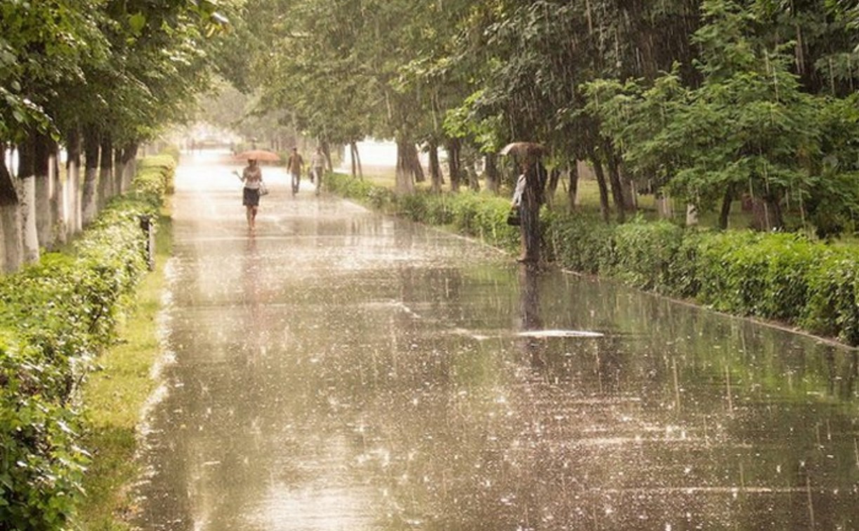 Погода в Туле 13 июля: сильный дождь с грозой, до 25 градусов тепла