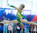 В тульском педуниверситете откроется детская секция художественной гимнастики