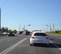 На М-2 «Крым» в Туле засняли «массовую миграцию» торопыг
