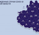 Подтвержденные случаи COVID-19 в Тульской области: карта на 25 мая