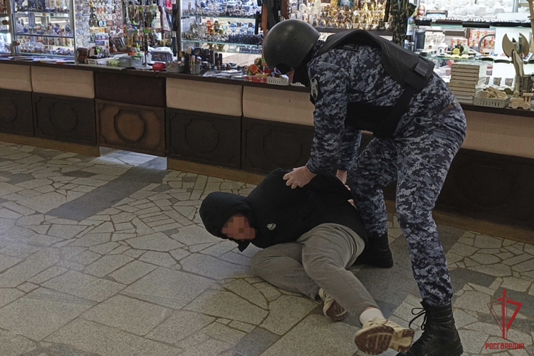 В Туле росгвардейцы задержали нарушителя в музее оружия 