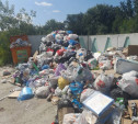 Если не вывозят мусор: Объясняем.РФ разъяснил порядок подачи жалобы
