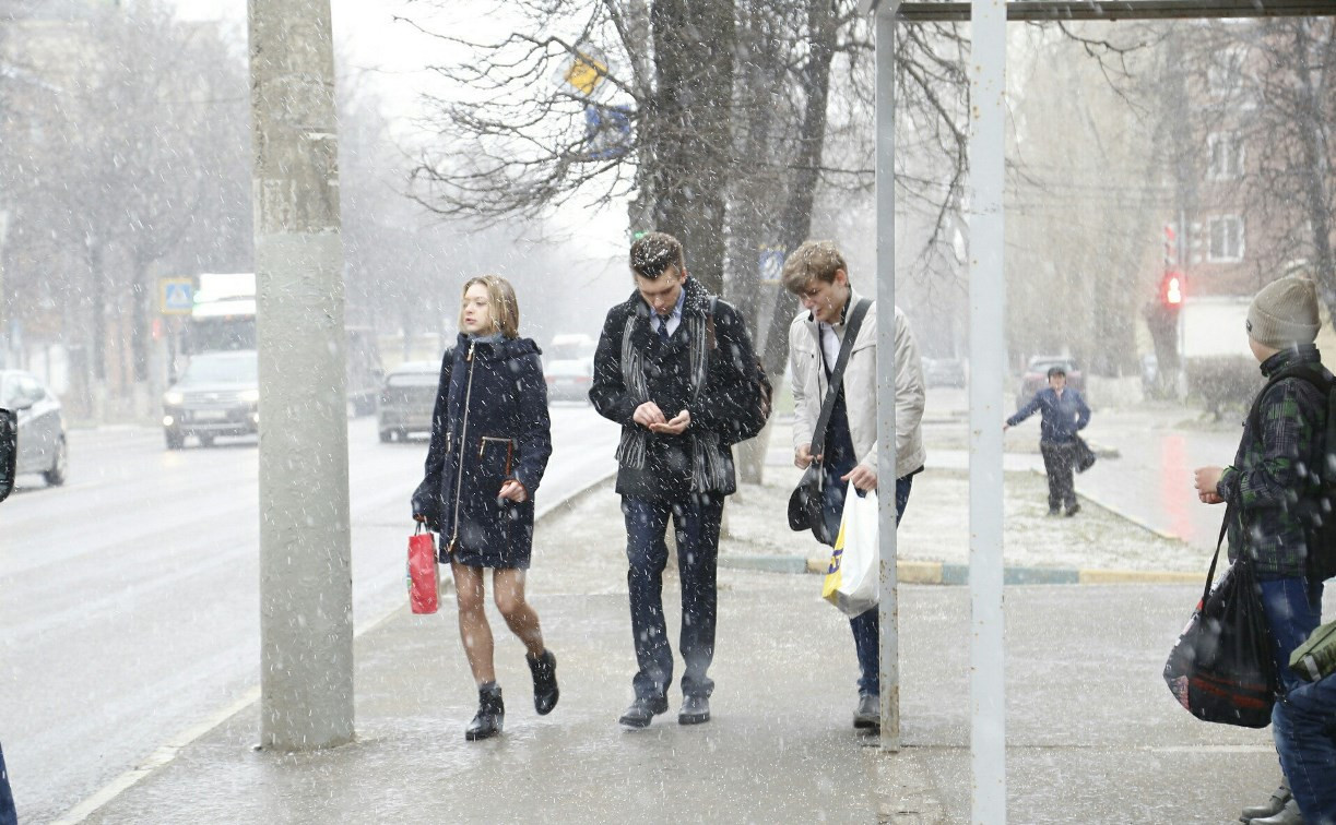 Весна в Туле: в городе выпал снег