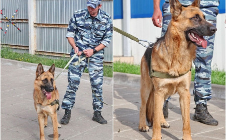 Жизнь Тулы и области