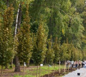 В Центральном парке Тулы дан старт экологической акции «Кислород городам!»