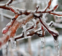 Погода в Туле 11 января: снег, облачность, лёгкий мороз