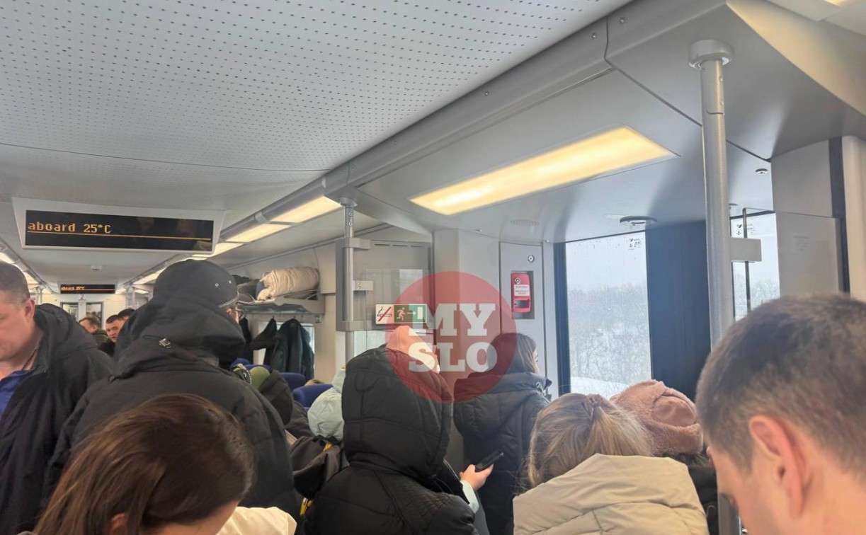 Из-за непогоды в Тульской области задержались более 40 электричек и поездов