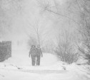 На Тулу идет мощный снегопад: в ГИБДД предупредили водителей об ухудшении погодных условий 