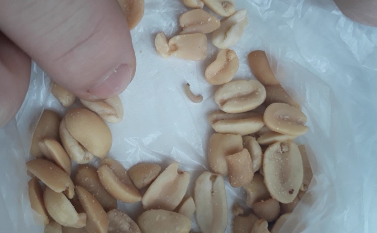 Видео: В Алексине продают орехи с живыми червяками