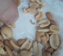 Видео: В Алексине продают орехи с живыми червяками