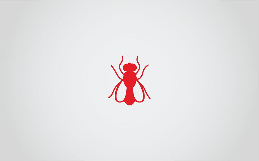 Роспотребнадзор закрыл ресторан «Пилот» из-за угрозы распространения инфекции