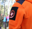 Пропавший в Ясногорске ребенок найден живым