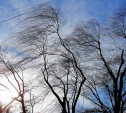 Погода в Туле 30 марта: облачно, холодно и ветрено