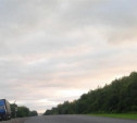 Ночью на трассе «Крым» водитель Acura насмерть сбил мужчину