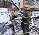 Сводка МЧС: в Тульской области ветер и снег повалили 70 деревьев