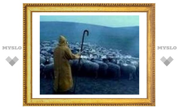 9 января: день найма пастуха