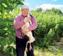 Жительница белевской деревни спасла аистят