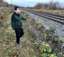 Туляк украл с проходящего поезда 360 кг чугуна