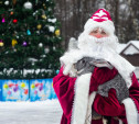 Главный Дед Мороз Тулы пригласил детей на открытие своей резиденции
