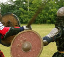 Фестиваль «Земля воинов» принял в Тульской области сильнейших бойцов