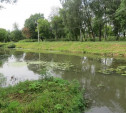 В Баташевском парке «Штамп» сбрасывал в Тулицу сточные воды