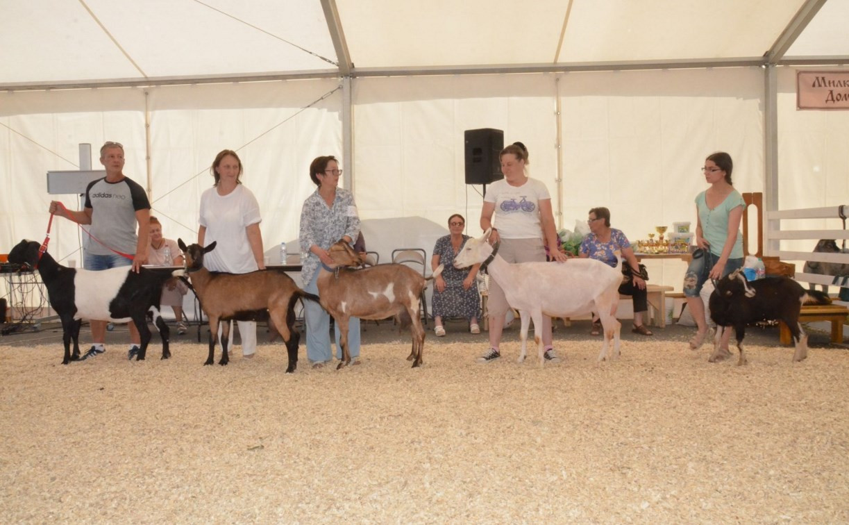 В Туле пройдёт всероссийская выставка молочных коз