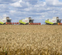 Тульская область собрала рекордный урожай зерна