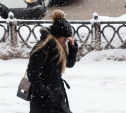 Циклон «Ида» принесет в Центральную Россию очередные снегопады 