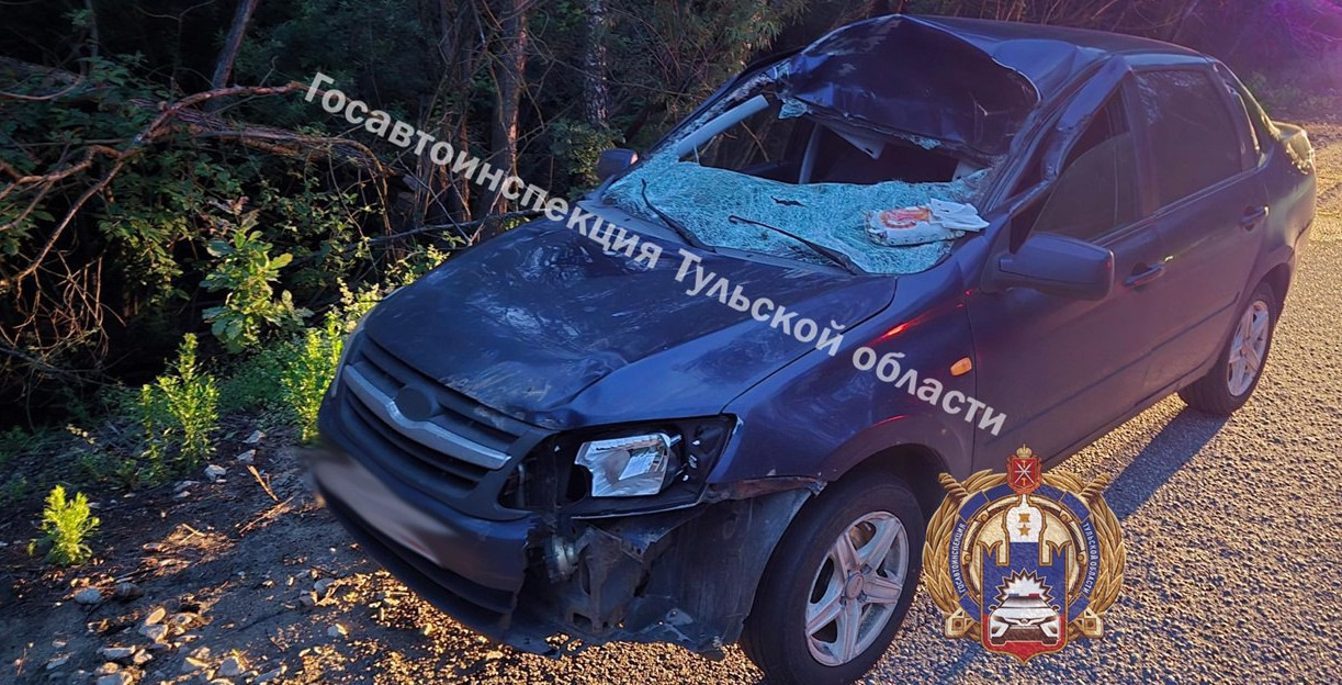 Под Алексином Lada сбила лося 