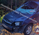 Под Алексином Lada сбила лося 