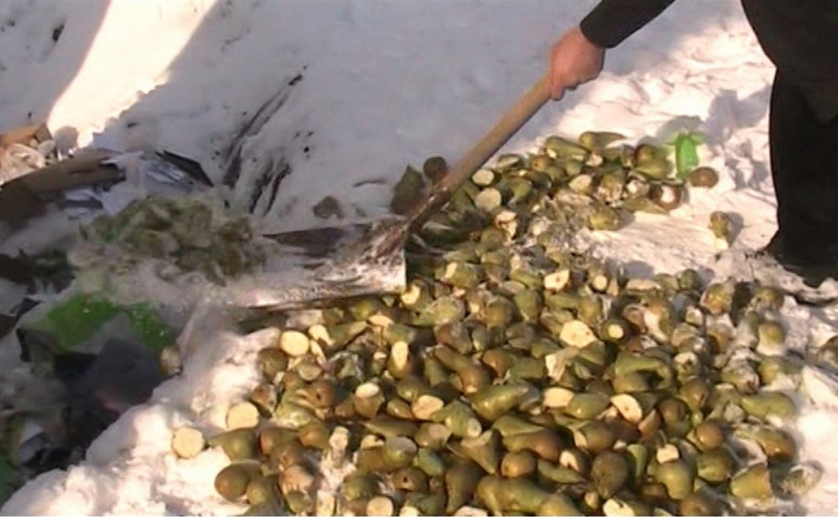 В Тульской области уничтожили более 70 кг польских груш