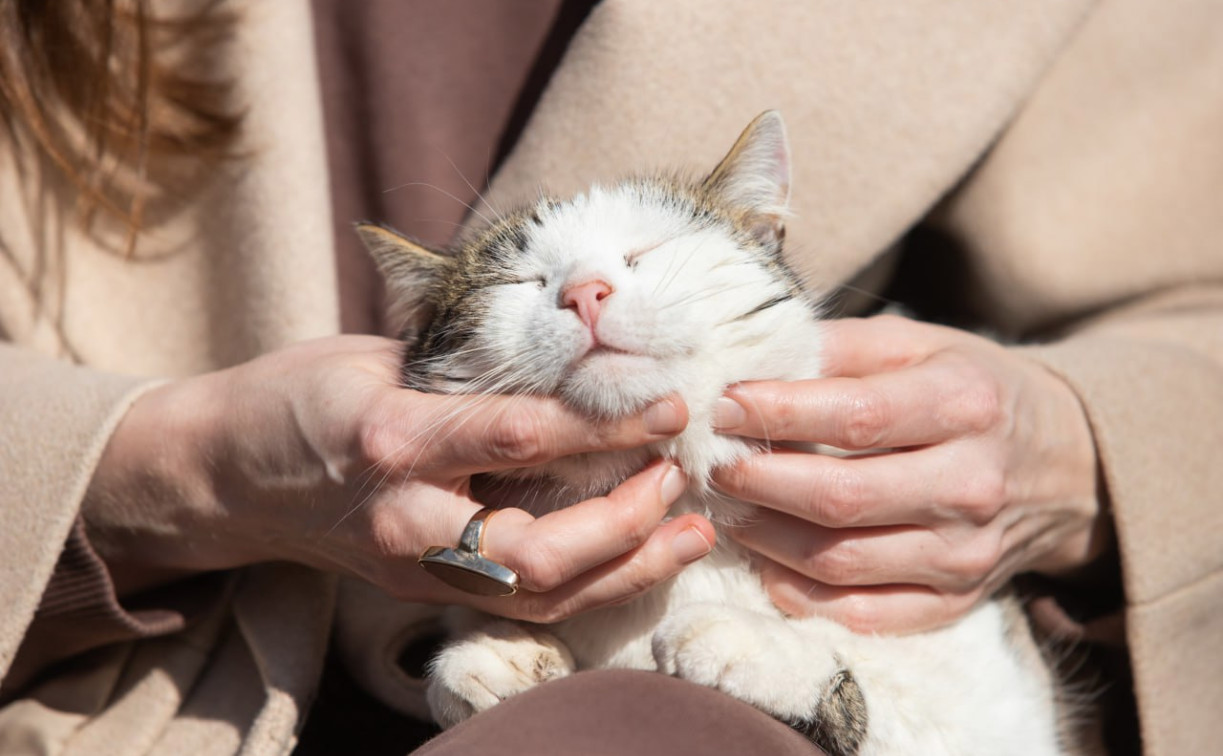 Потеплеет до +3 градусов: стало известно, когда тулякам ждать оттепель