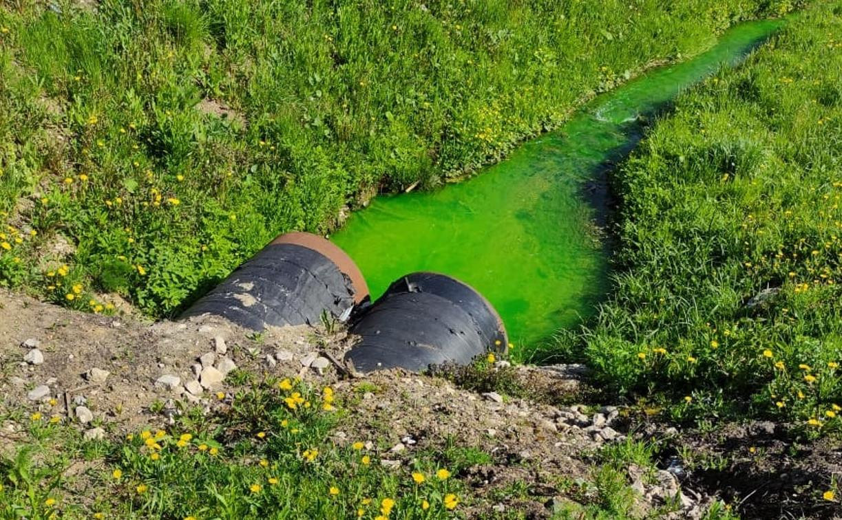 Туляк обнаружил ядовито-зеленый ручей у деревни Комарки