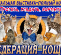 Туляков приглашают на уникальную контактную зоовыставку «Федерация кошек»