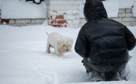 Жизнь Тулы и области