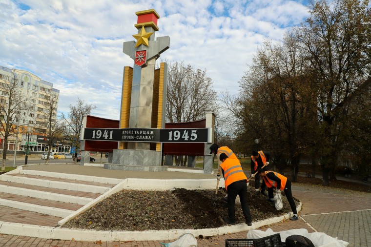 В Туле высаживают тюльпаны