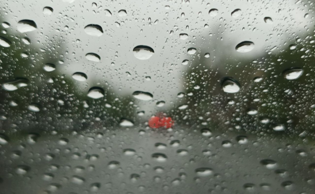 Погода в Туле 17 апреля: дожди и умеренный ветер